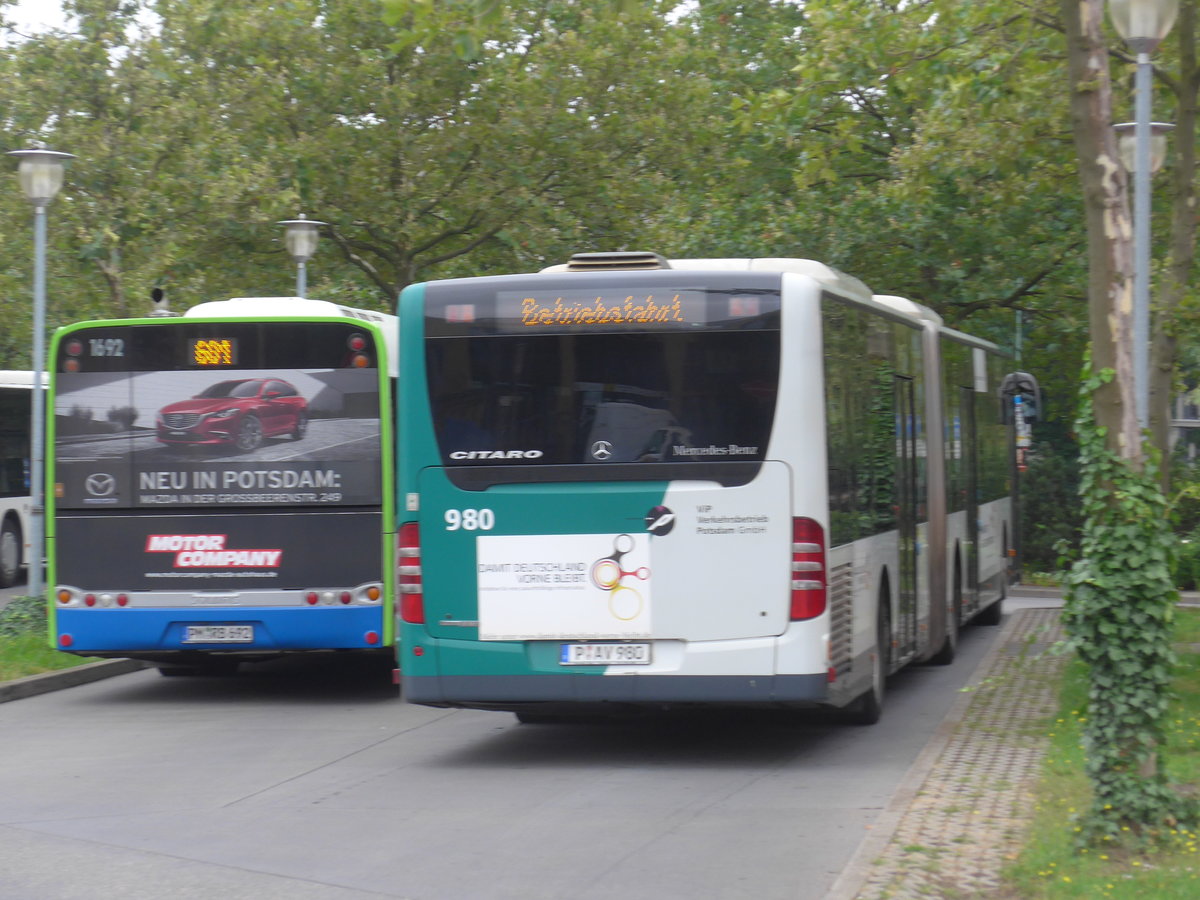 (183'457) - ViP Potsdam - Nr. 980/P-AV 980 - Mercedes am 11. August 2017 beim Hauptbahnhof Potsdam