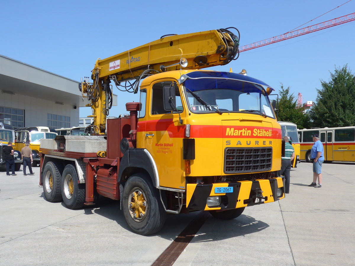 (184'477) - St�heli, Roggwil - TG 2067 - Saurer am 26. August 2017 in Oberkirch, CAMPUS Sursee