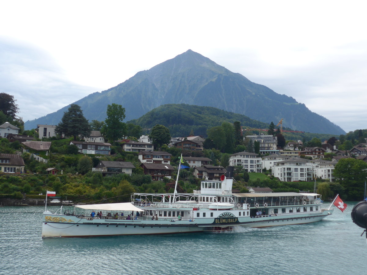 (184'665) - Dampfschiff Bl�mlisalp mit Niesen am 4. September 2017 bei der Spiezerbucht
