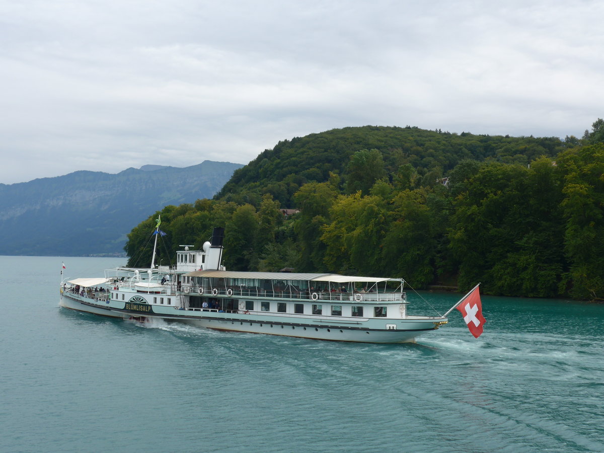 (184'666) - Dampfschiff Bl�mlisalp beim Spiezberg am 4. September 2017 bei der Spiezerbucht