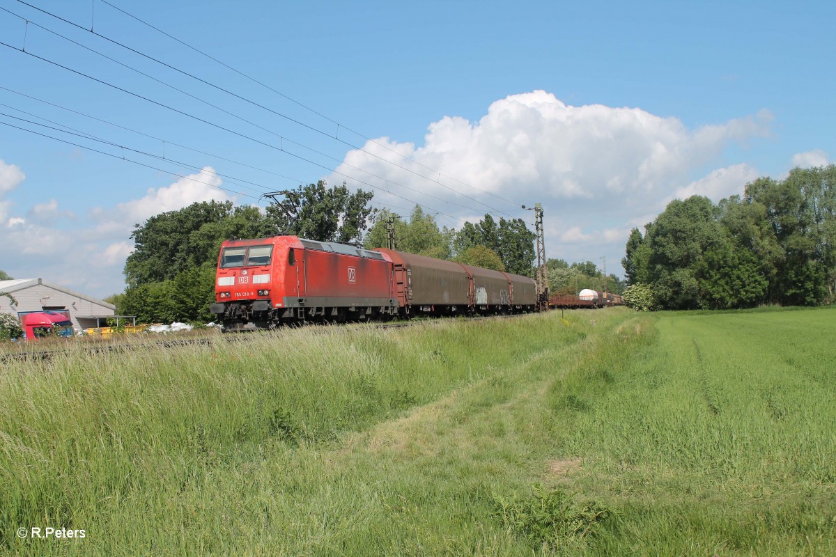 185 019-9 zieht einen gemischten Güterzug zwischen Nauheim und Groß-Gerau. 20.05.15