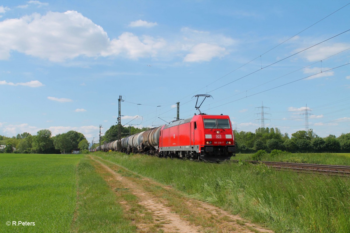 185 236-7 zieht einen Kesselzug bei der Netztrennstelle Bischofsheim. 15.05.15