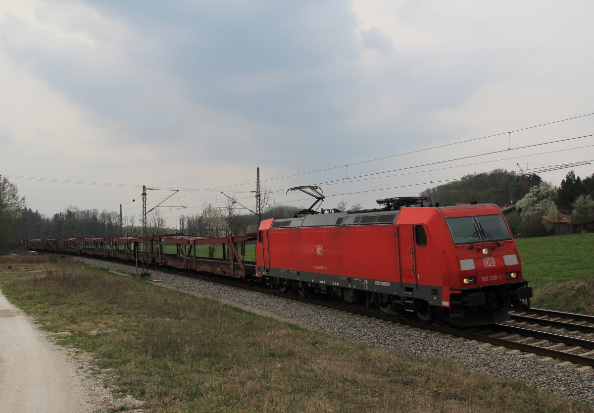 185 239-1 zieht am 5. April 2014 einen aus unbeladenen Autotransportwaggons bestehenden Zug in Richtung Salzburg. Aufgenommen bei bersee am Chiemsee.