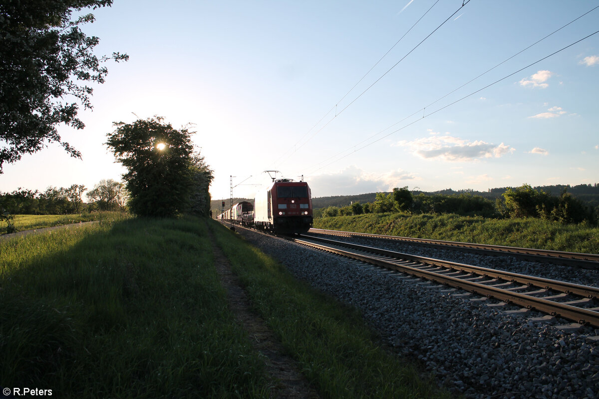 185 261-5 kommz mit einem gemischten Güterzug aus Nürnberg bei Pölling zurück. 14.05.24