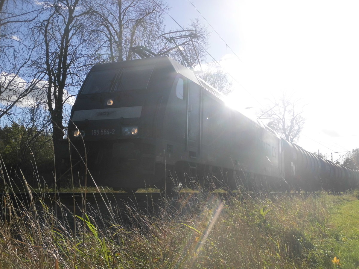 185 564 mit einen Gterzug in Delitzsch am 30.10.17