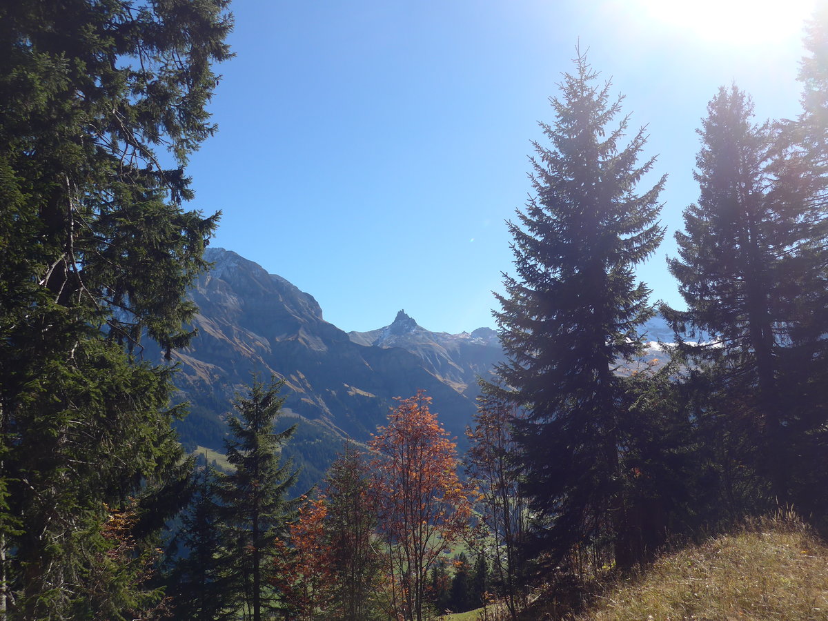 (185'836) - Das Tschingellochtighorn von der oberen Fluhweide aus am 15. Oktober 2017 oberhalb Adelboden