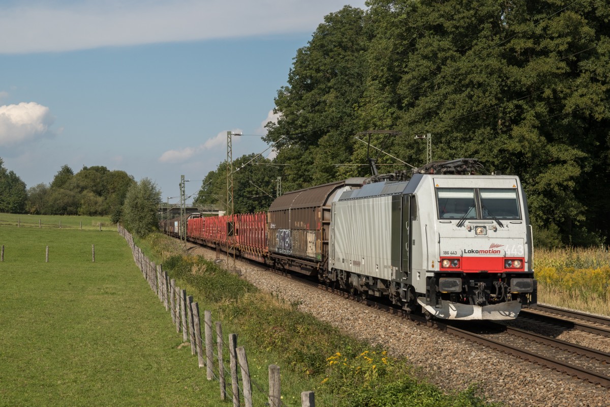 186 443 diesmal am 11. September 2015 aus Mnchen kommend in Vogl.