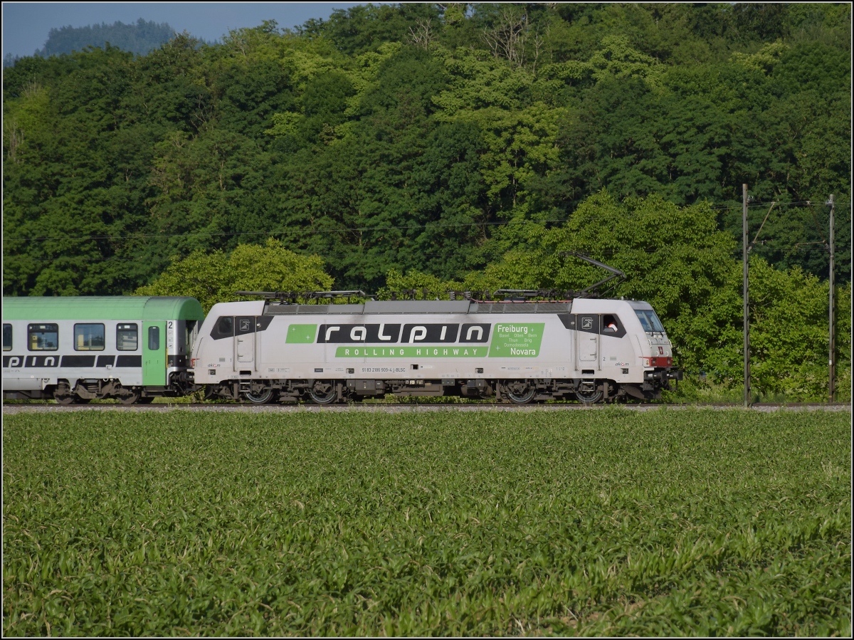 186 909 ist eine der beiden in Italien immatrikulierten Zugloks der RoLa. Mit voller Nummer 91 83 2 186 909-4 I-BLSC ist sie von der BLS zugelassen. Buggingen, Juni 2022.