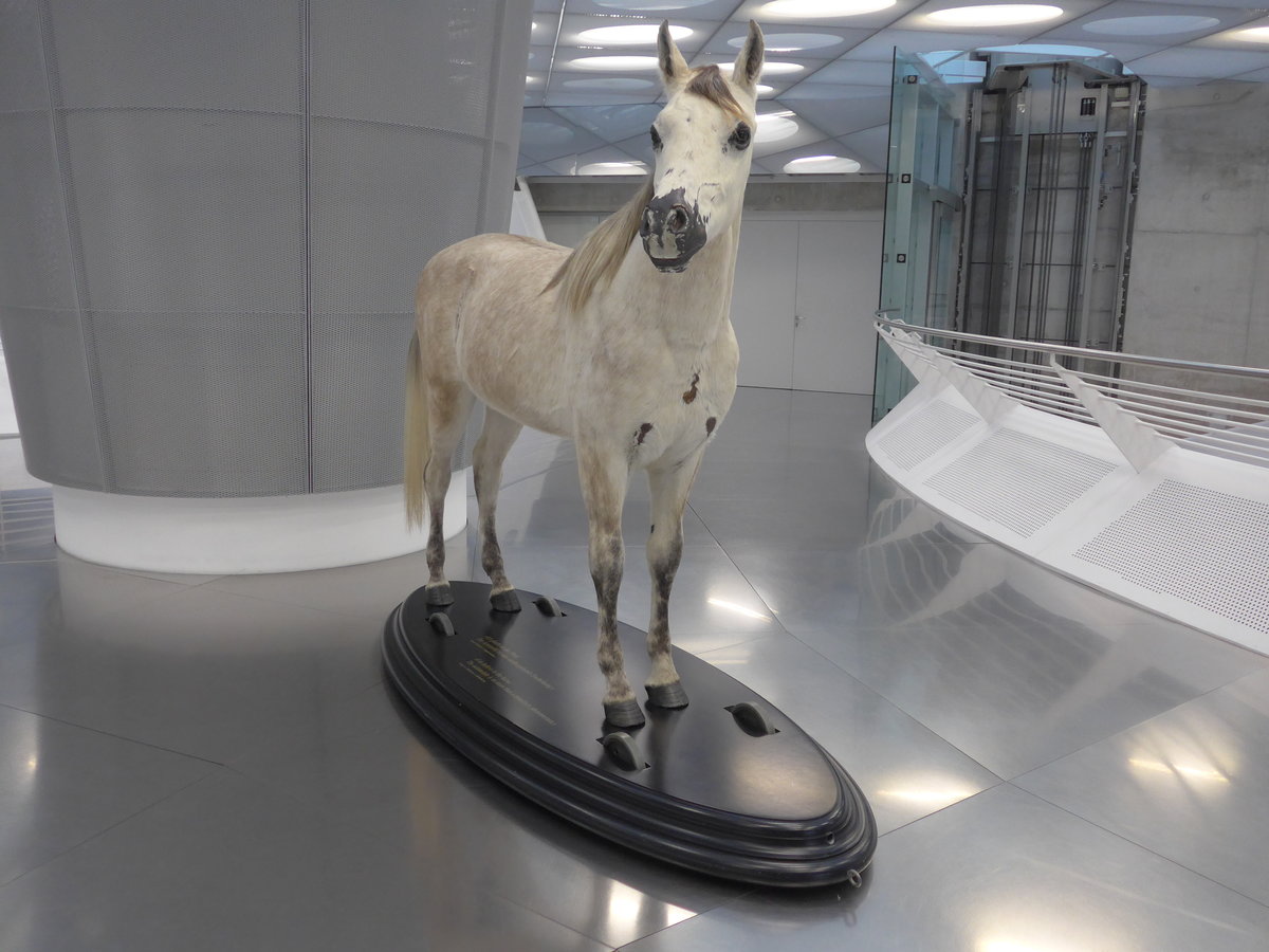 (186'304) - Das Pferd wurde vom Automobil abgel�st am 12. November 2017 in Stuttgart, Mercedes-Benz Museum