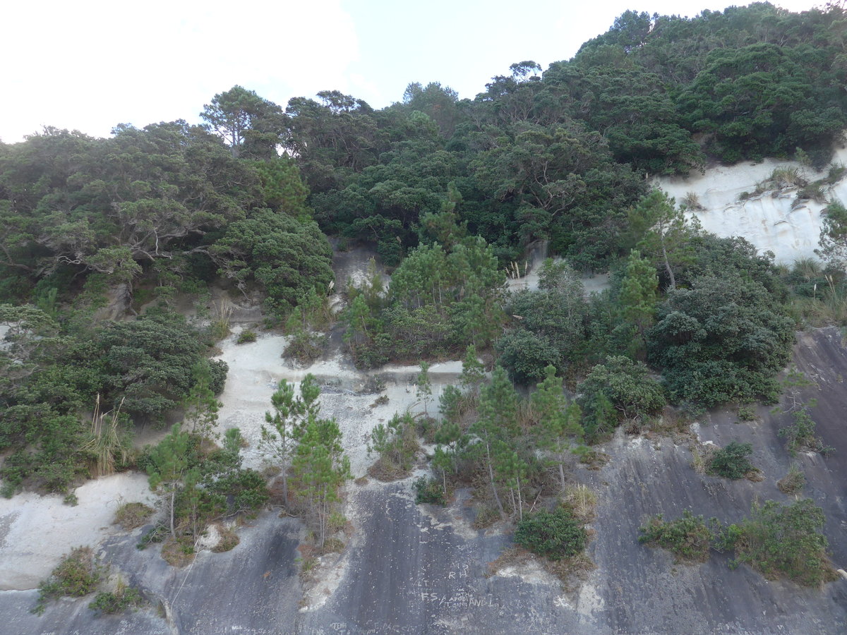 (190'558) - Felsen am 20. April 2018 in Hahei Beach