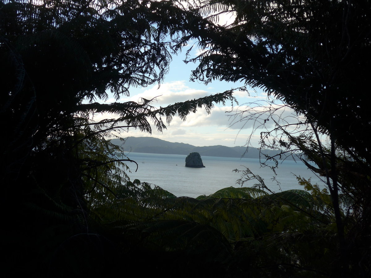 (190'595) - Insel durch die B�ume am 20. April 2018 in Hahei Beach