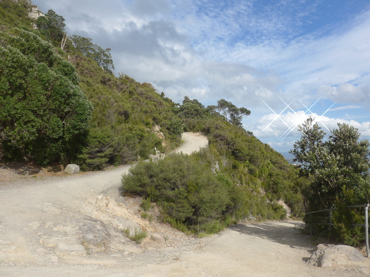 (190'696) - Weg am Mount Maunganui am 21. April 2018 bei Mauao