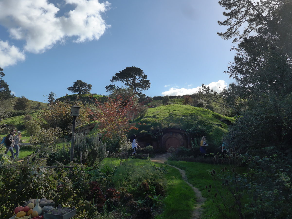 (190'876) - Hobbiton-Landschaft am 22. April 2018 bei Hinuera