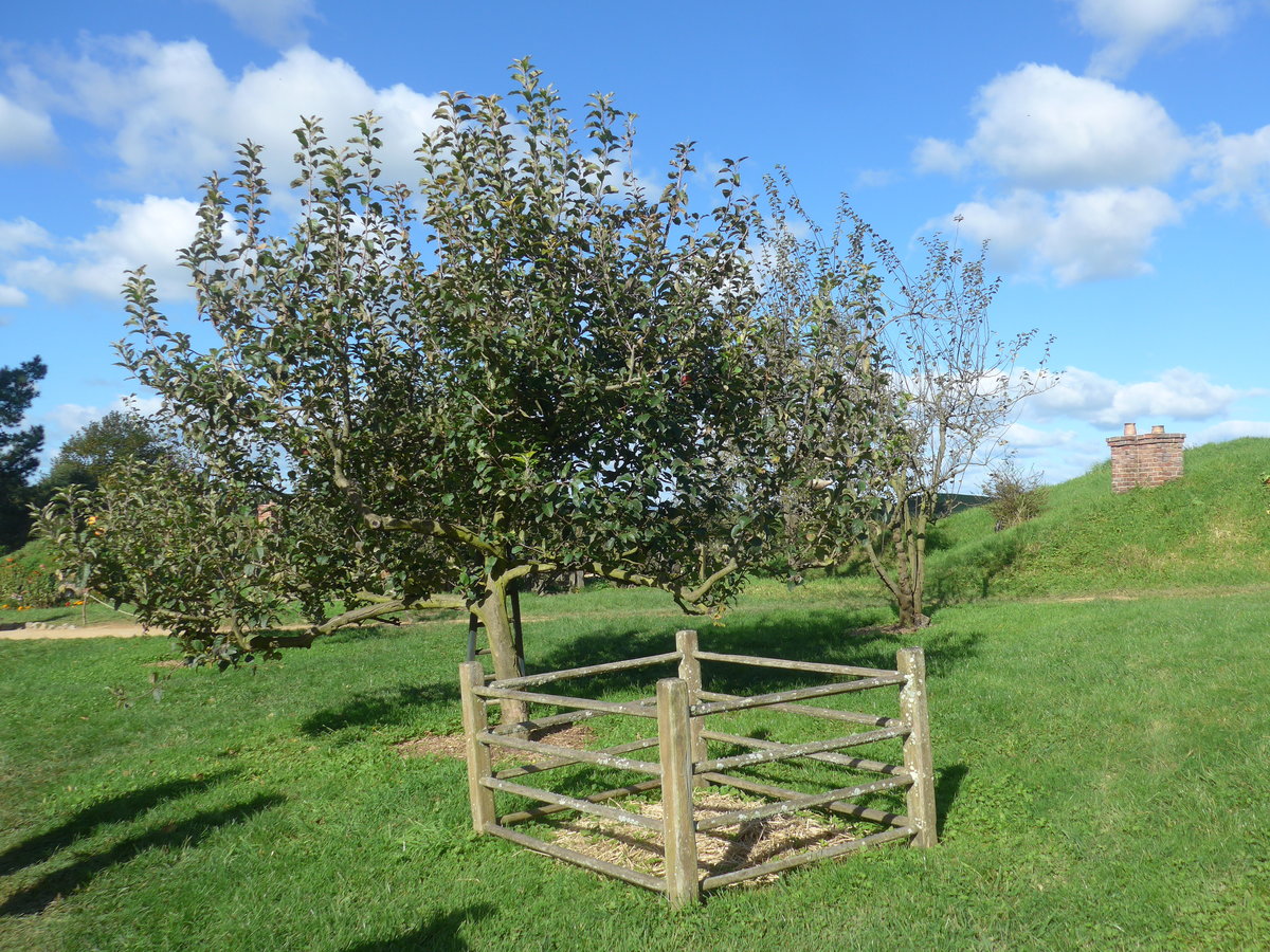 (190'889) - Baum und Tiergatter im Hobbiton am 22. April 2018 bei Hinuera