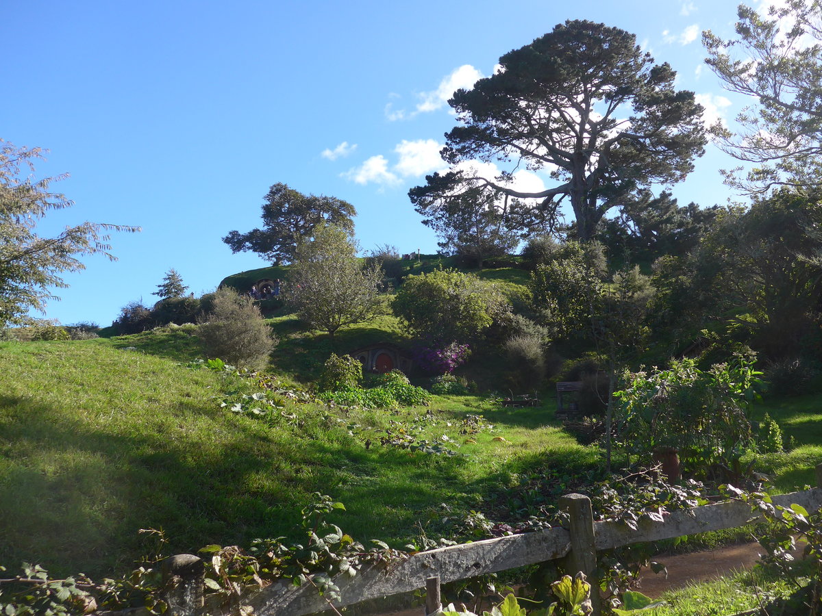 (190'892) - Hobbiton-Landschaft am 22. April 2018 bei Hinuera