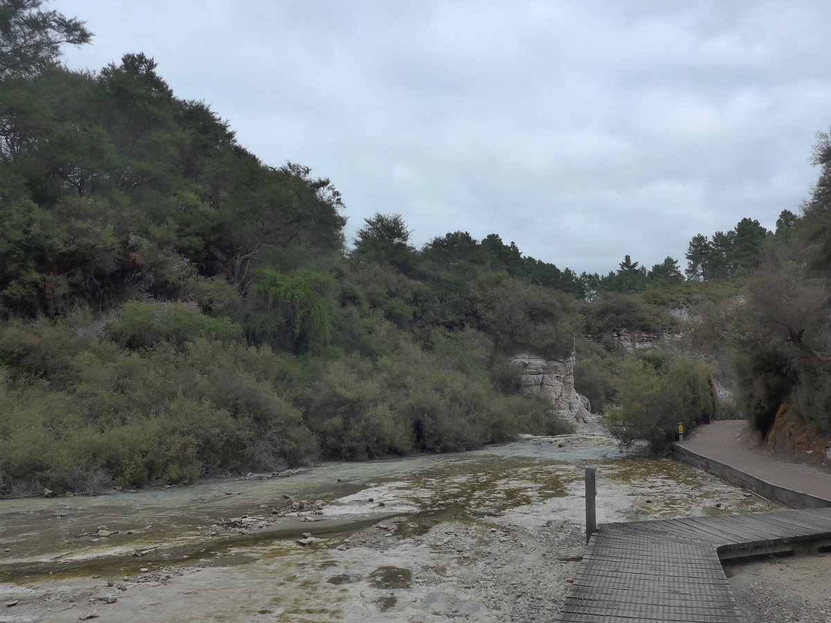 (191'099) - Bach im Wai-O-Tapu Thermal Wonderland am 23. April 2018 bei Rotorua
