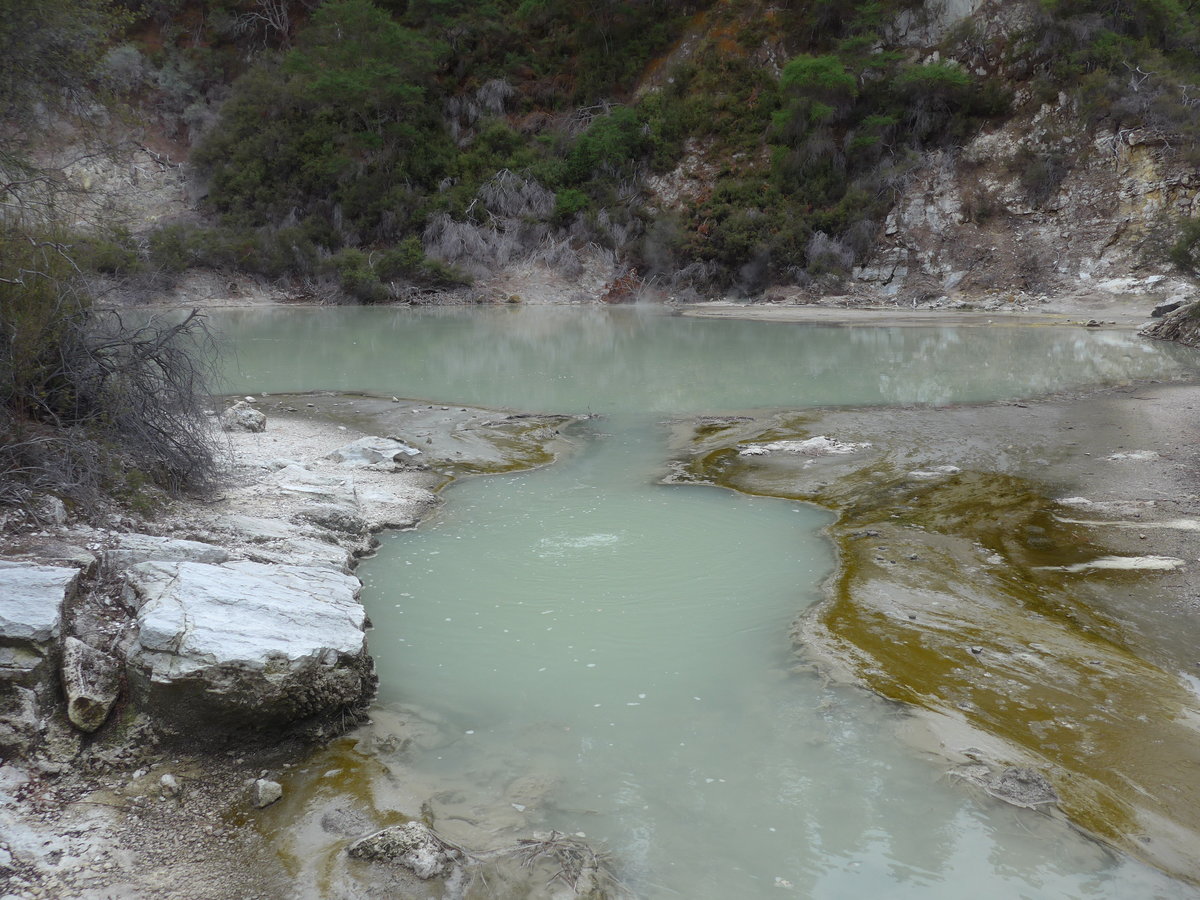 (191'119) - See im Wai-O-Tapu Thermal Wonderland am 23. April 2018 bei Rotorua