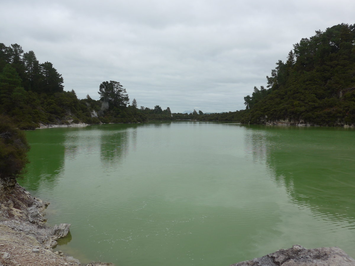(191'142) - See im Wai-O-Tapu Thermal Wonderland am 23. April 2018 bei Rotorua