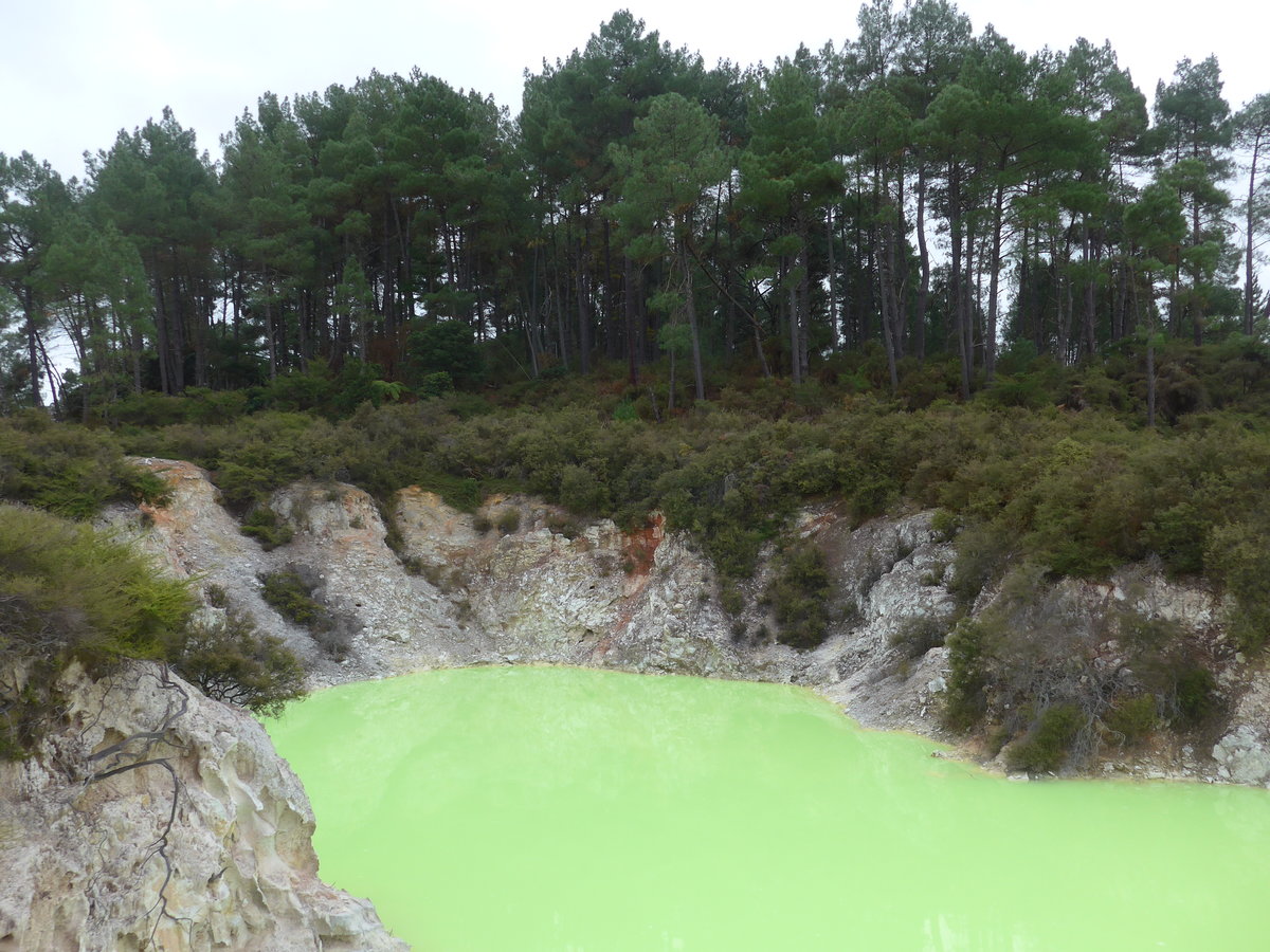 (191'195) - Der Devil's Bath im Wai-O-Tapu Thermal Wonderland am 23. April 2018 bei Rotorua
