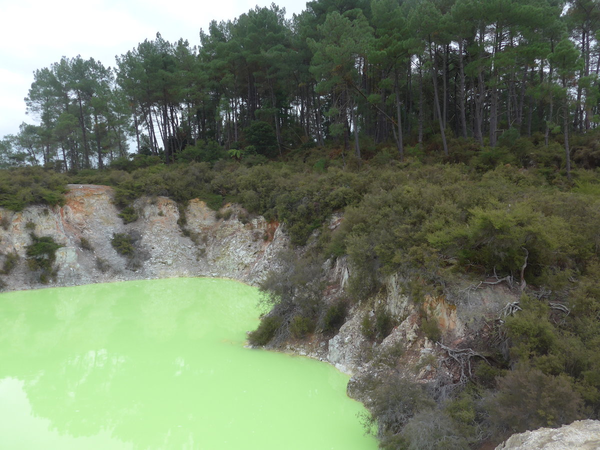 (191'199) - Der Devil's Bath im Wai-O-Tapu Thermal Wonderland am 23. April 2018 bei Rotorua