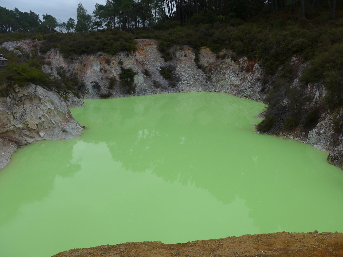 (191'200) - Der Devil's Bath im Wai-O-Tapu Thermal Wonderland am 23. April 2018 bei Rotorua