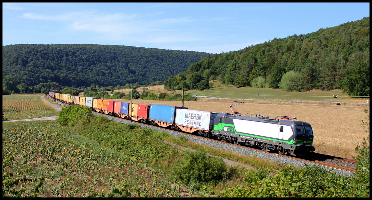 193 224 mit Containerzug am 05.08.15 bei Harrbach