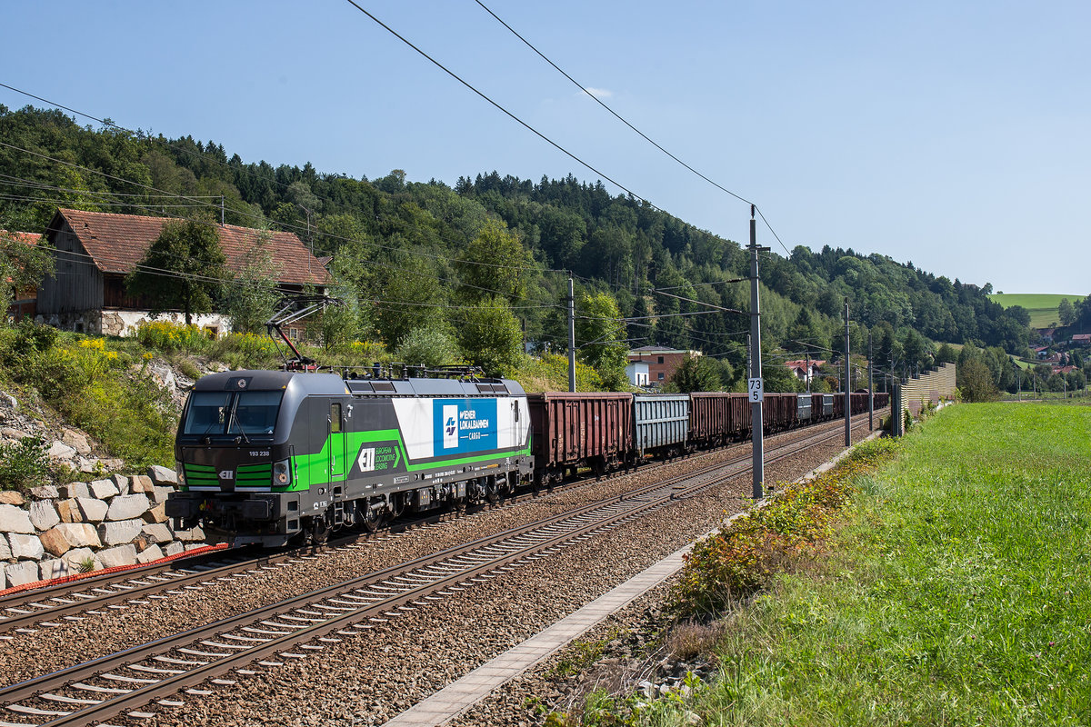 193 238 mit einem gemischten Gterzug am 23. August 2017 bei Wernstein.