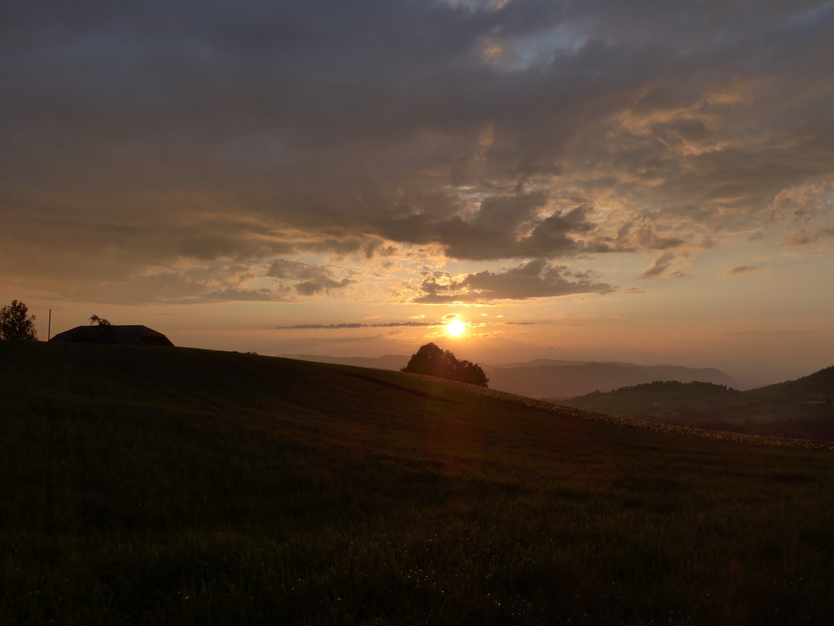 (193'001) - Abendstimmung am 11. Mai 2018 bei Fahrni