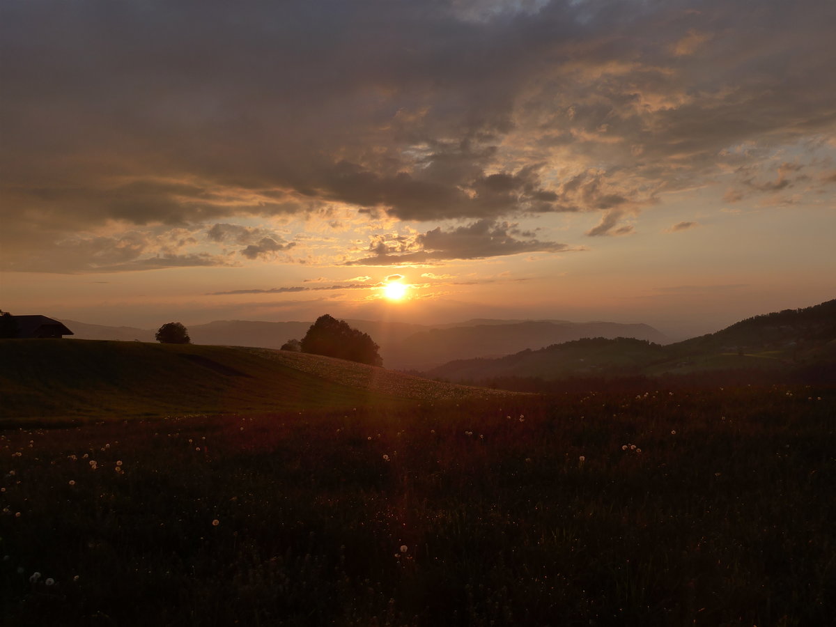 (193'003) - Abendstimmung am 11. Mai 2018 bei Fahrni