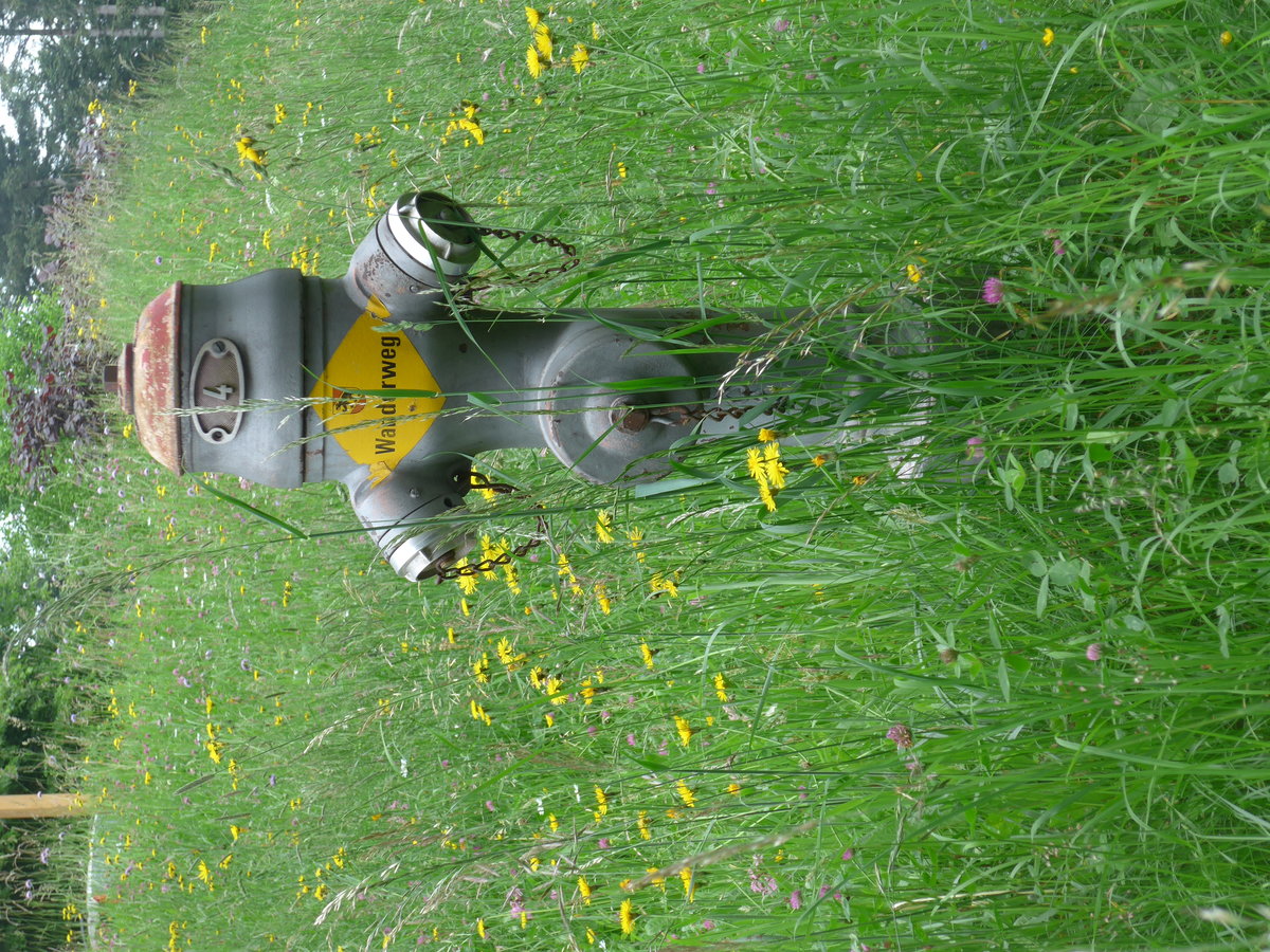 (193'695) - Hydrant - Nr. 4 - am 3. Juni 2018 bei Waldh�usern