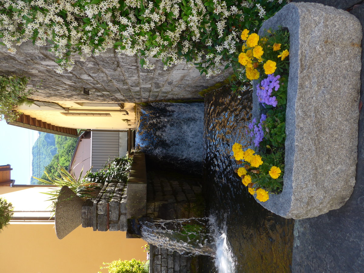 (193'824) - Brunnen am 9. Juni 2018 in Maroggia
