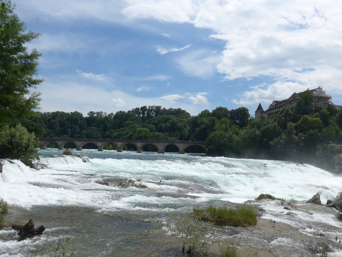 (193'958) - Der Rheinfall mit Br�cke und Schloss Laufen am 10. Juni 2018 bei Neuhausen