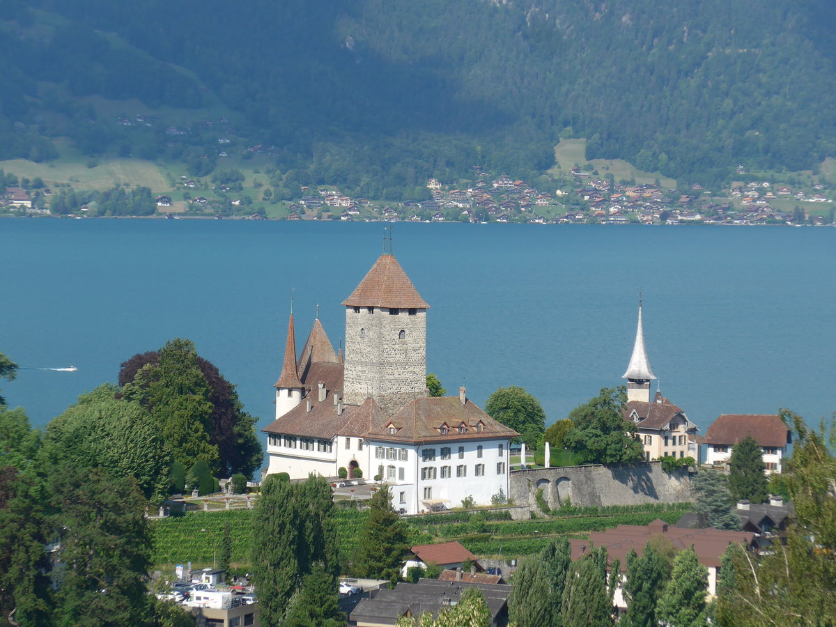 (194'736) - Schloss Spiez am Thunersee am 9. Juli 2018