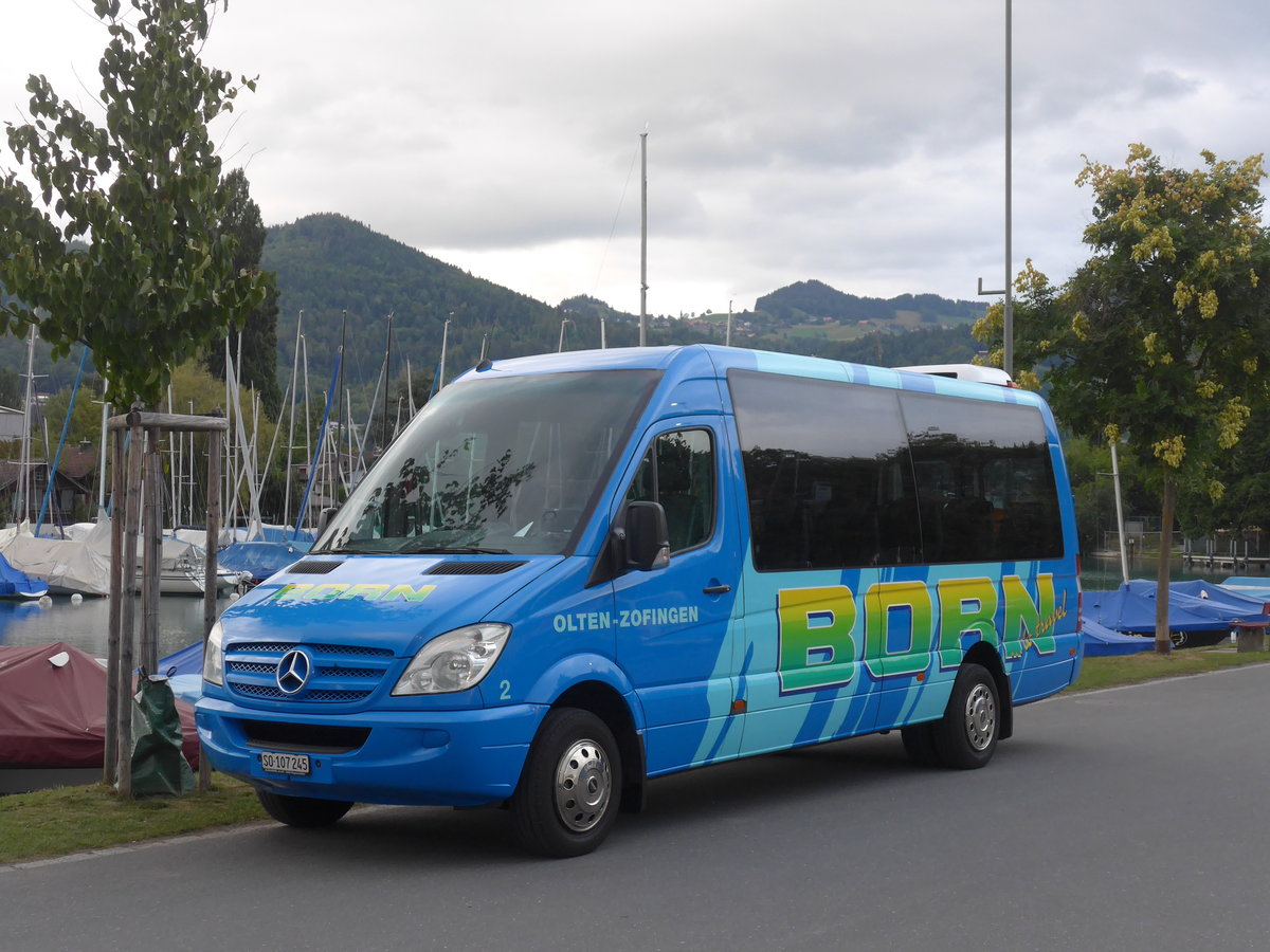 (196'196) - Born, Olten - Nr. 2/SO 107'245 - Mercedes am 24. August 2018 in Thun, Strandbad