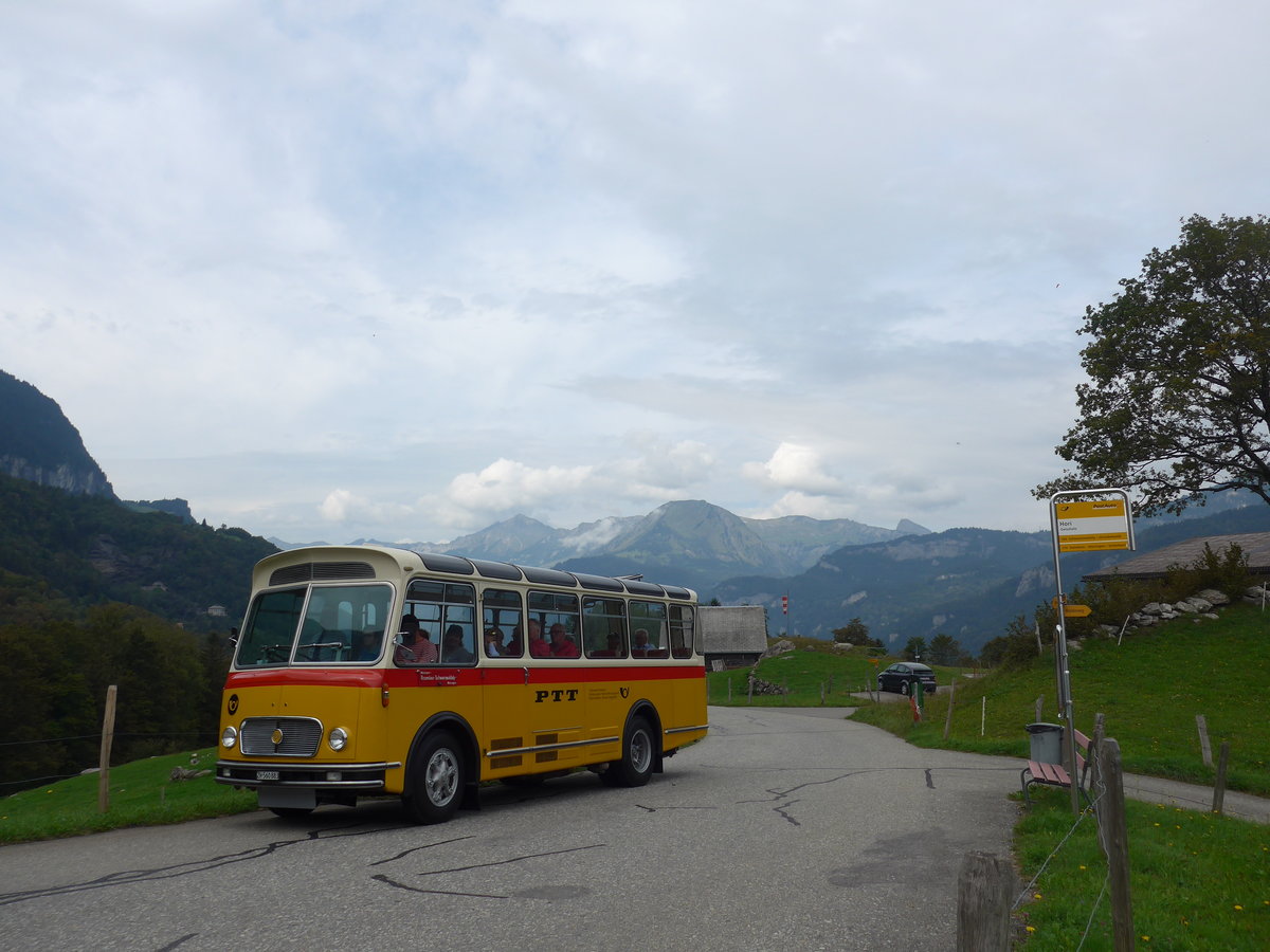 (197'738) - Frutig, Birmensdorf - ZH 560'883 - FBW/FHS (ex P 23'217) am 16. September 2018 in Geissholz, Hori