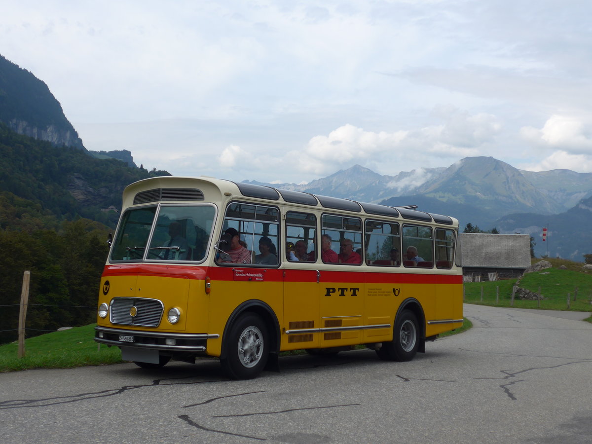 (197'739) - Frutig, Birmensdorf - ZH 560'883 - FBW/FHS (ex P 23'217) am 16. September 2018 in Geissholz, Hori