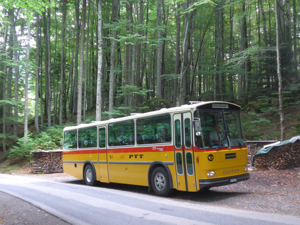 (197'743) - Schmid, Thrishaus - BE 26'206 - Saurer/Tscher (ex P 24'244) am 16. September 2018 bei Geissholz