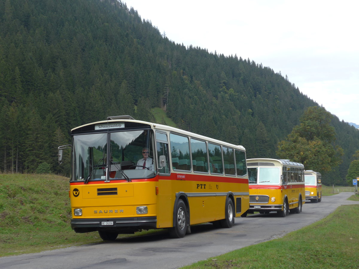 (197'786) - Schmid, Thrishaus - BE 26'206 - Saurer/Tscher (ex P 24'244) am 16. September 2018 in Gschwandtenmaad