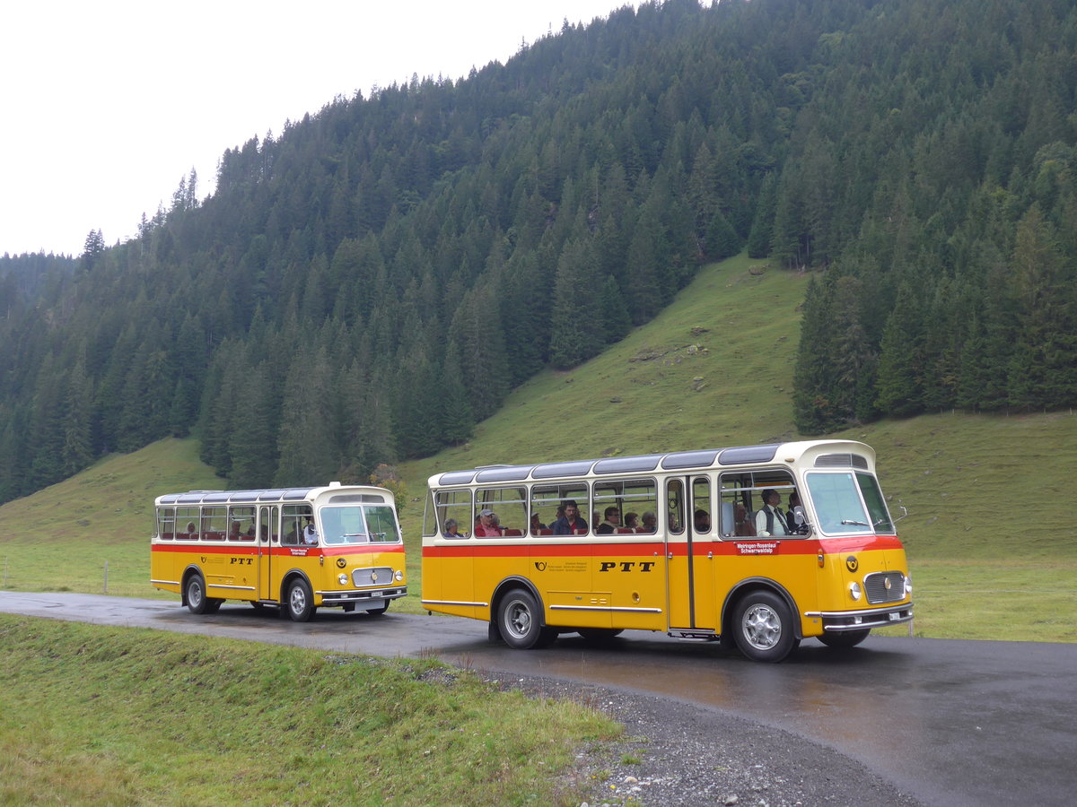 (197'826) - Frutig, Birmensdorf - ZH 560'883 - FBW/FHS (ex P 23'217) + Mller, Ennetmoos - NW 23'167 - FBW/Gangloff (ex Rentsch, Gunten; ex P 23'203; ex P 21'003) am 16. September 2018 in Gschwandtenmaad