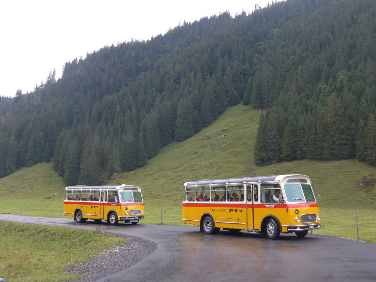 (197'827) - Frutig, Birmensdorf - ZH 560'883 - FBW/FHS (ex P 23'217) + Mller, Ennetmoos - NW 23'167 - FBW/Gangloff (ex Rentsch, Gunten; ex P 23'203; ex P 21'003) am 16. September 2018 in Gschwandtenmaad