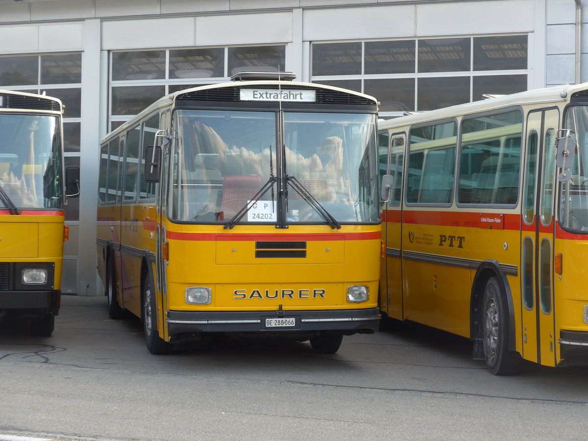 (198'030) - Thommen, Sutz - BE 288'066 - Saurer/Hess (ex P 24'202) am 30. September 2018 in Bellach, Hess