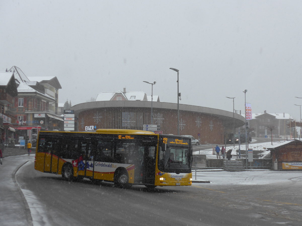 (199'884) - AVG Grindelwald - Nr. 16/BE 28'821 - MAN am 10. Dezember 2018 beim Bahnhof Grindelwald