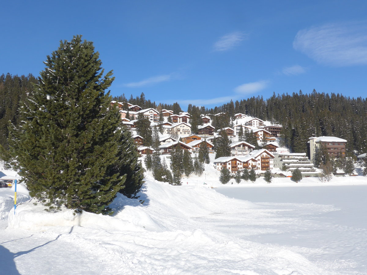 (201'289) - Der Obersee am 19. Januar 2019 in Arosa