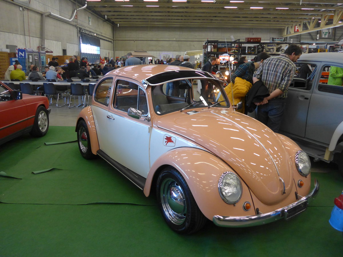 (203'073) - VW-K�fer am 24. M�rz 2019 in Granges-Paccot, Forum-Fribourg