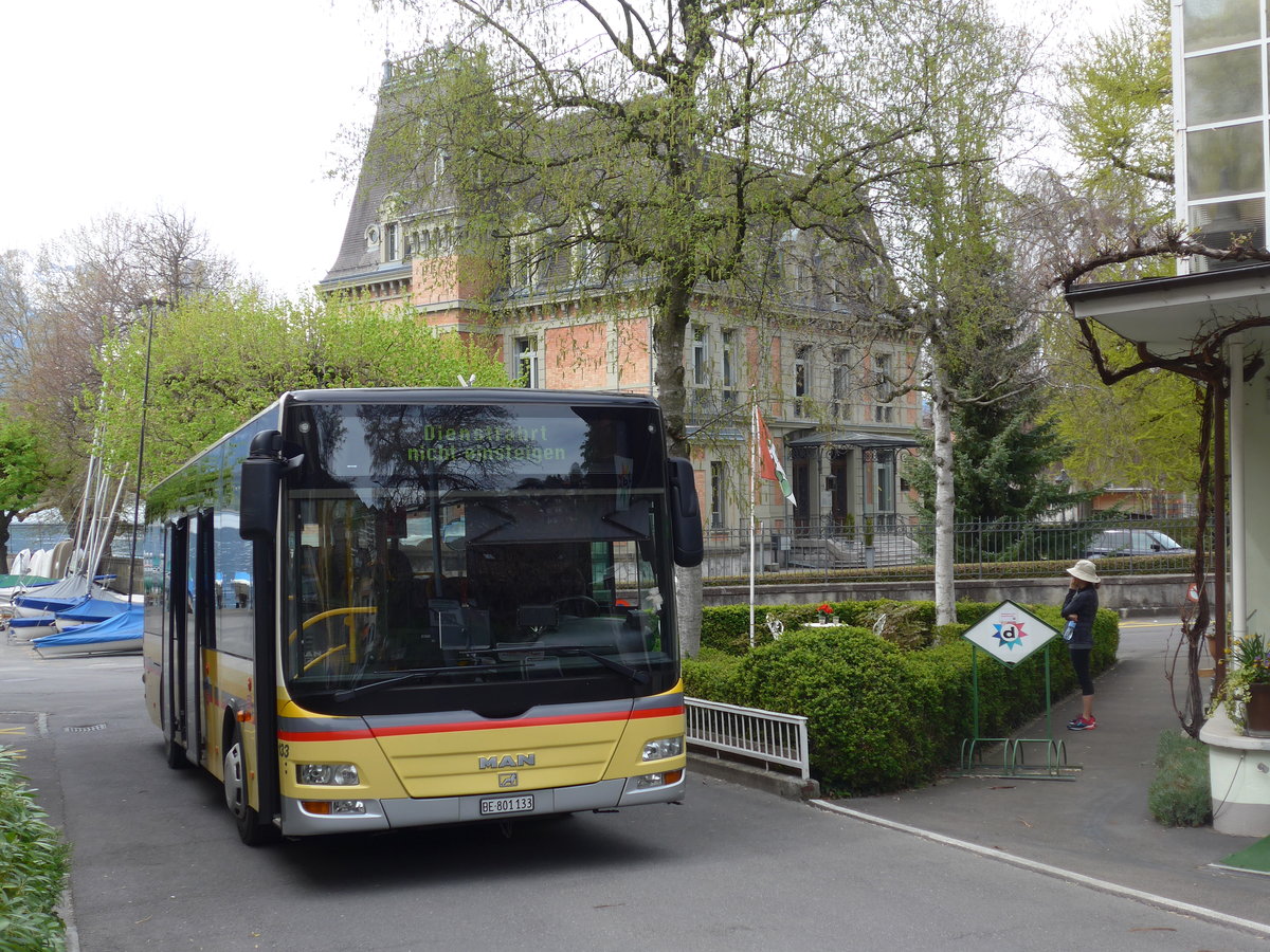 (203'851) - STI Thun - Nr. 133/BE 801'133 - MAN/Gppel am 21. April 2019 in Oberhofen, Dorf