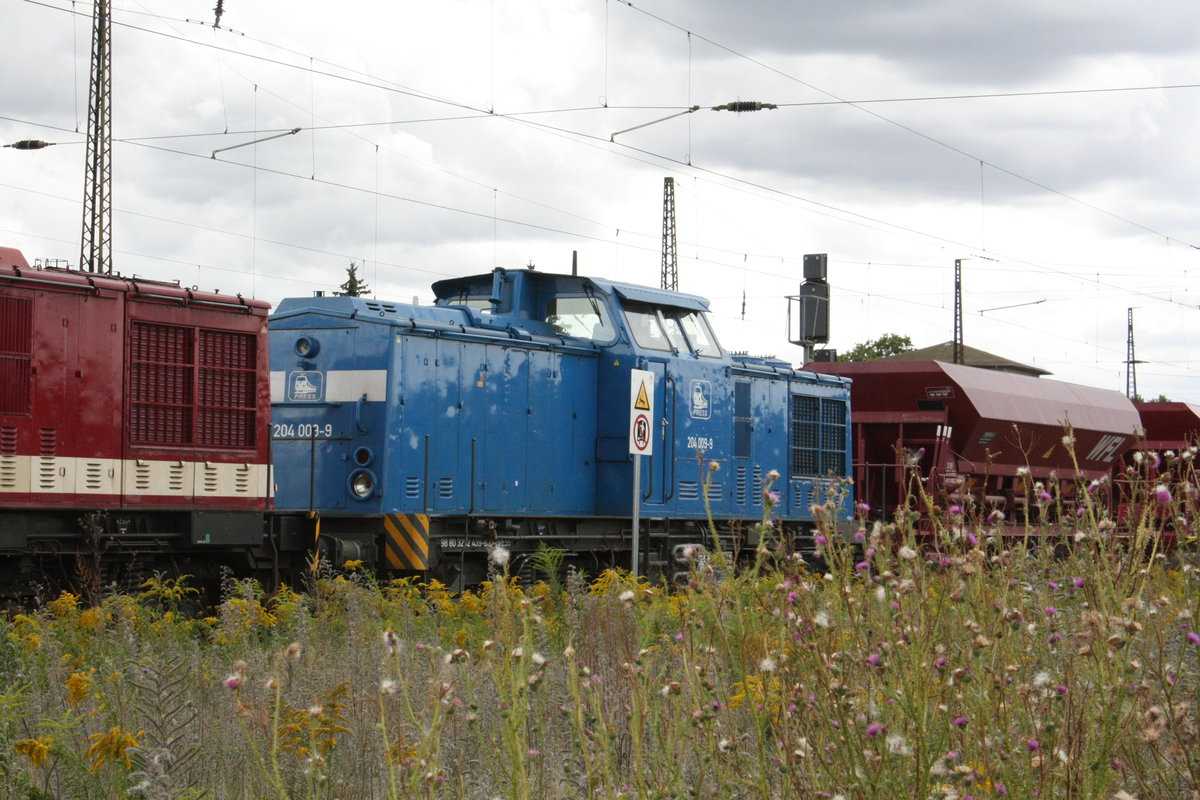 204 354 abgestellt im Bahnhof Naumburg (Saale) Hbf am 29.8.20