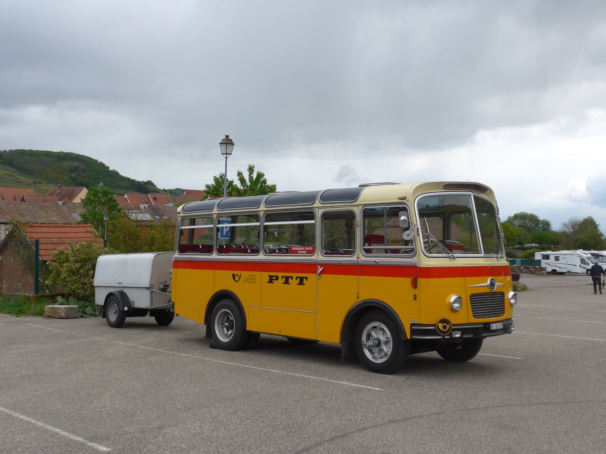 (204'536) - Aus der Schweiz: Schmid, Thrishaus - Nr. 9/BE 26'105 - Saurer/R&J (ex Geiger, Adelboden Nr. 9) am 28. April 2019 in Kaysersberg, Rocade Verte