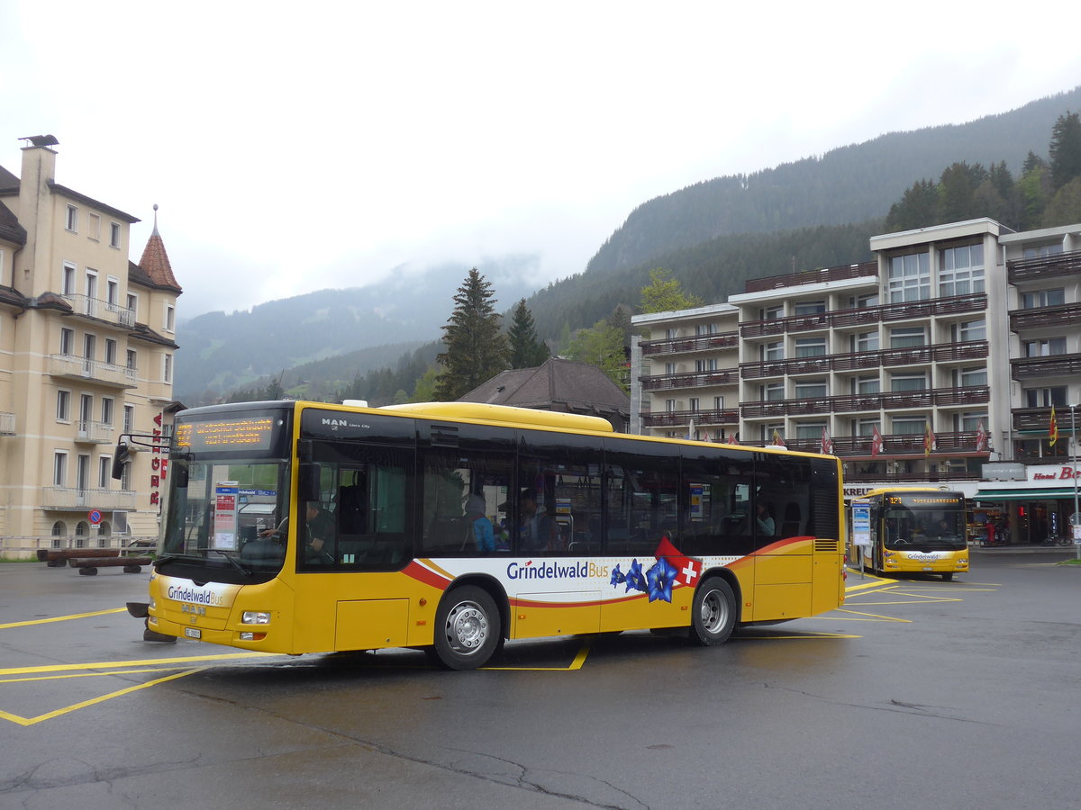 (205'337) - AVG Grindelwald - Nr. 16/BE 28'821 - MAN am 19. Mai 2019 beim Bahnhof Grindelwald