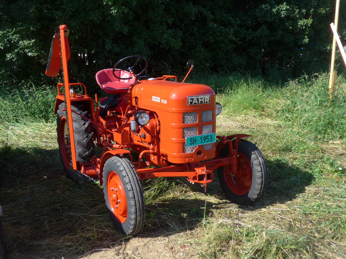 (205'770) - Fahr - SH 1953 - am 8. Juni 2019 in Thayngen, Saurertreffen