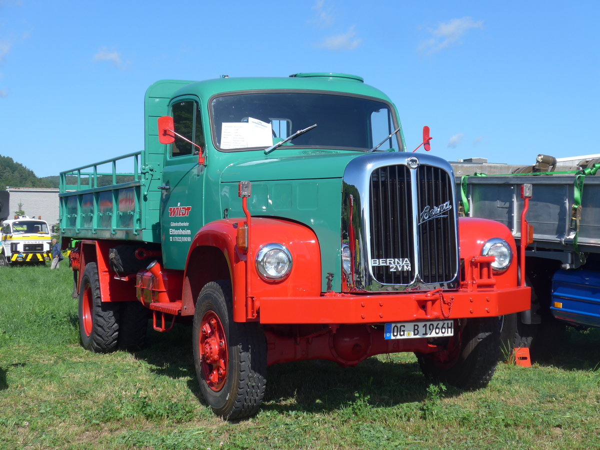 (205'795) - Wildt, Ettenheim - OG-B 1966H - Berna am 8. Juni 2019 in Thayngen, Saurertreffen